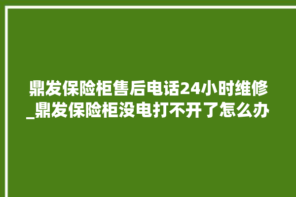 鼎发保险柜售后电话24小时维修_鼎发保险柜没电打不开了怎么办 。保险柜