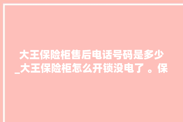 大王保险柜售后电话号码是多少_大王保险柜怎么开锁没电了 。保险柜