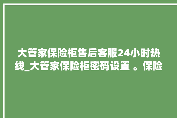 大管家保险柜售后客服24小时热线_大管家保险柜密码设置 。保险柜