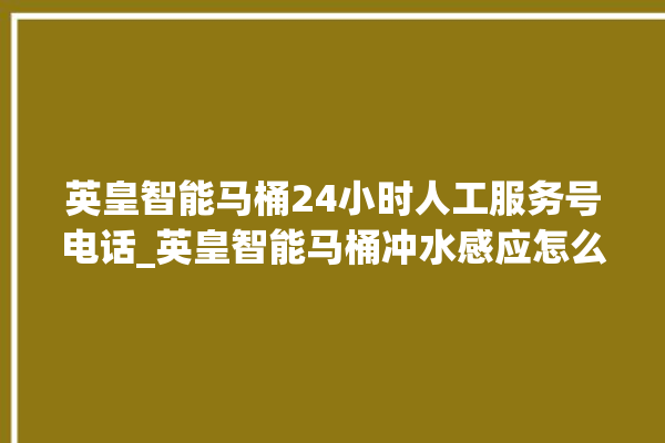 英皇智能马桶24小时人工服务号电话_英皇智能马桶冲水感应怎么设置 。马桶