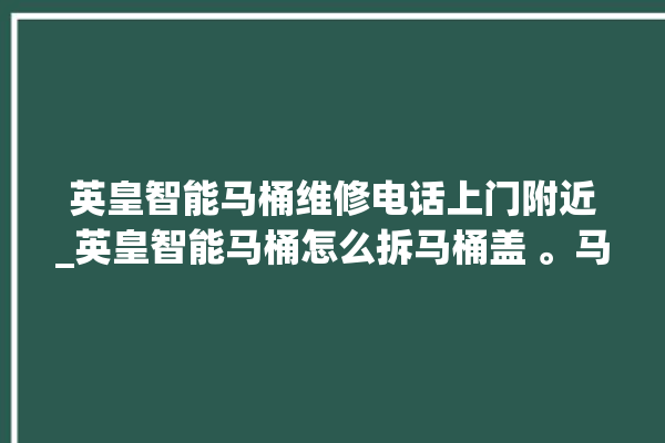 英皇智能马桶维修电话上门附近_英皇智能马桶怎么拆马桶盖 。马桶