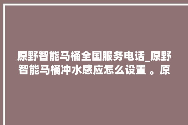 原野智能马桶全国服务电话_原野智能马桶冲水感应怎么设置 。原野