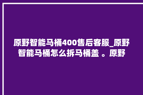 原野智能马桶400售后客服_原野智能马桶怎么拆马桶盖 。原野