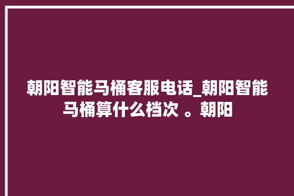 朝阳智能马桶客服电话_朝阳智能马桶算什么档次 。朝阳