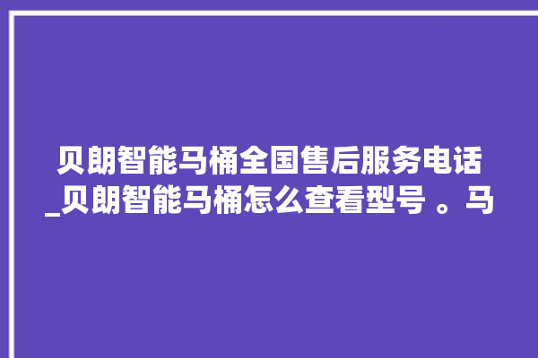 贝朗智能马桶全国售后服务电话_贝朗智能马桶怎么查看型号 。马桶