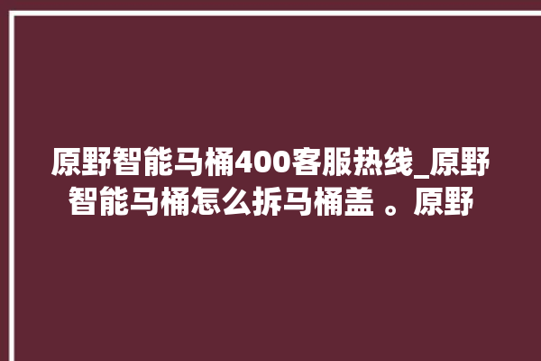 原野智能马桶400客服热线_原野智能马桶怎么拆马桶盖 。原野