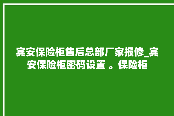 宾安保险柜售后总部厂家报修_宾安保险柜密码设置 。保险柜