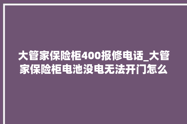 大管家保险柜400报修电话_大管家保险柜电池没电无法开门怎么办 。保险柜