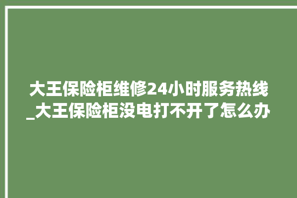 大王保险柜维修24小时服务热线_大王保险柜没电打不开了怎么办 。保险柜