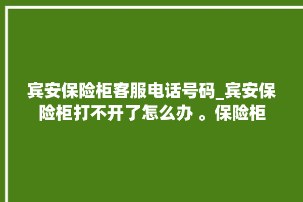 宾安保险柜客服电话号码_宾安保险柜打不开了怎么办 。保险柜