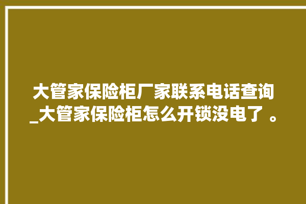 大管家保险柜厂家联系电话查询_大管家保险柜怎么开锁没电了 。保险柜