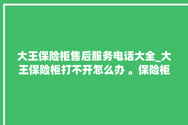 大王保险柜售后服务电话大全_大王保险柜打不开怎么办 。保险柜