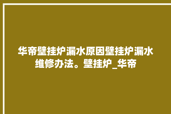 华帝壁挂炉漏水原因壁挂炉漏水维修办法。壁挂炉_华帝