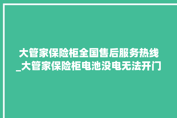 大管家保险柜全国售后服务热线_大管家保险柜电池没电无法开门怎么办 。保险柜