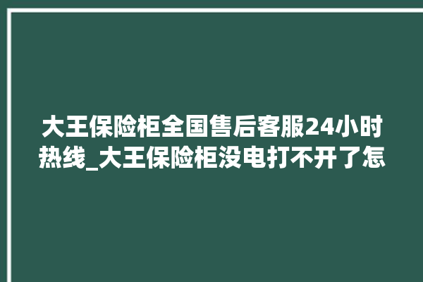 大王保险柜全国售后客服24小时热线_大王保险柜没电打不开了怎么办 。保险柜