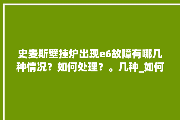 史麦斯壁挂炉出现e6故障有哪几种情况？如何处理？。几种_如何处理