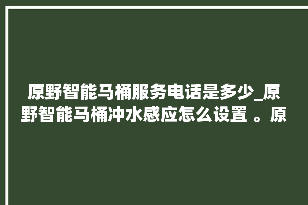 原野智能马桶服务电话是多少_原野智能马桶冲水感应怎么设置 。原野