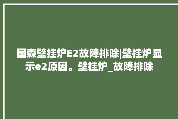 国森壁挂炉E2故障排除|壁挂炉显示e2原因。壁挂炉_故障排除