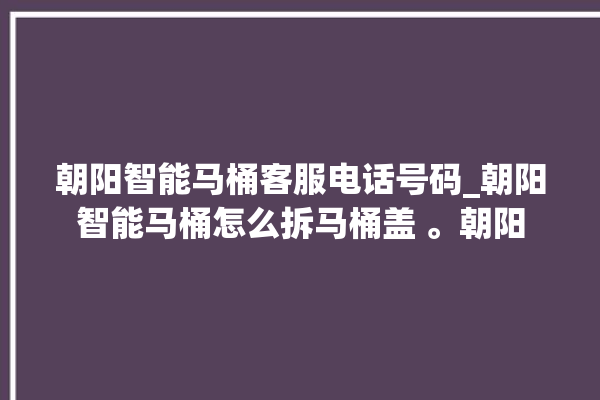 朝阳智能马桶客服电话号码_朝阳智能马桶怎么拆马桶盖 。朝阳