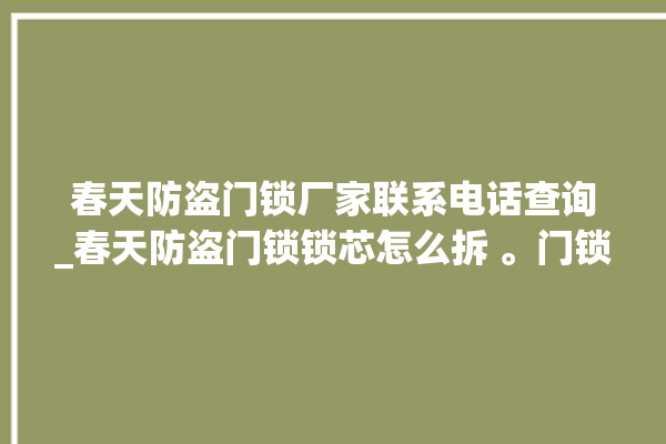 春天防盗门锁厂家联系电话查询_春天防盗门锁锁芯怎么拆 。门锁