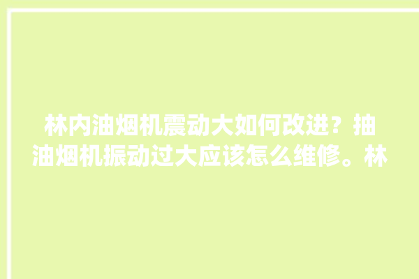 林内油烟机震动大如何改进？抽油烟机振动过大应该怎么维修。林内_抽油烟机