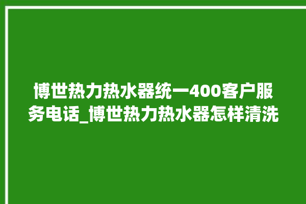 博世热力热水器统一400客户服务电话_博世热力热水器怎样清洗 。热水器