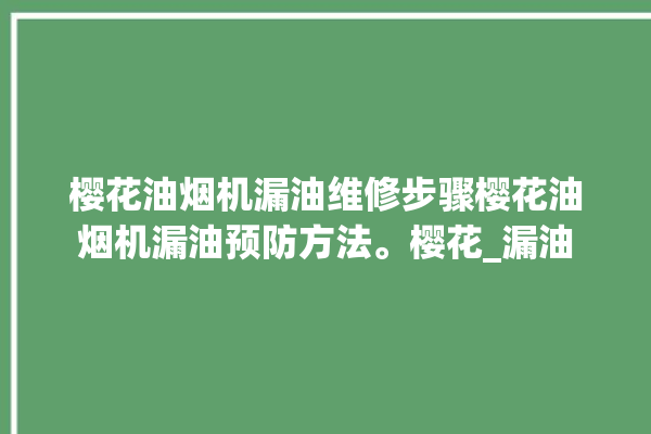 樱花油烟机漏油维修步骤樱花油烟机漏油预防方法。樱花_漏油