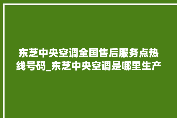 东芝中央空调全国售后服务点热线号码_东芝中央空调是哪里生产的 。东芝