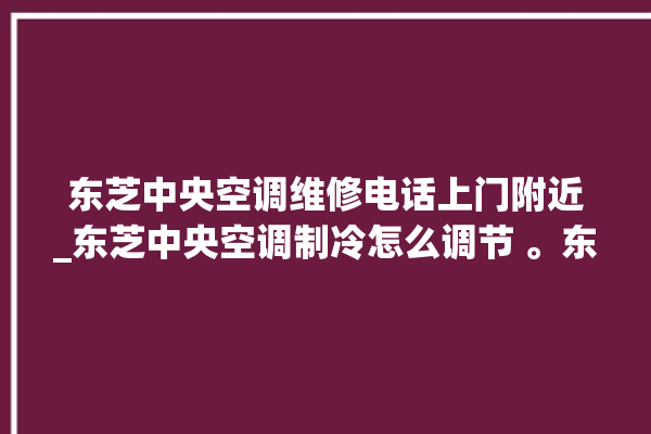 东芝中央空调维修电话上门附近_东芝中央空调制冷怎么调节 。东芝