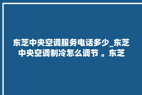 东芝中央空调服务电话多少_东芝中央空调制冷怎么调节 。东芝