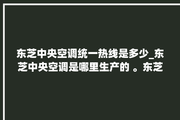 东芝中央空调统一热线是多少_东芝中央空调是哪里生产的 。东芝