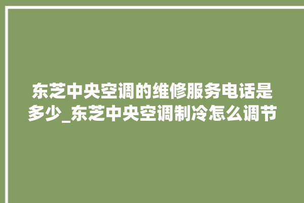 东芝中央空调的维修服务电话是多少_东芝中央空调制冷怎么调节 。东芝