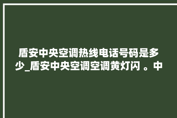 盾安中央空调热线电话号码是多少_盾安中央空调空调黄灯闪 。中央空调