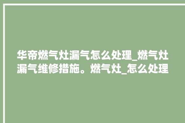 华帝燃气灶漏气怎么处理_燃气灶漏气维修措施。燃气灶_怎么处理