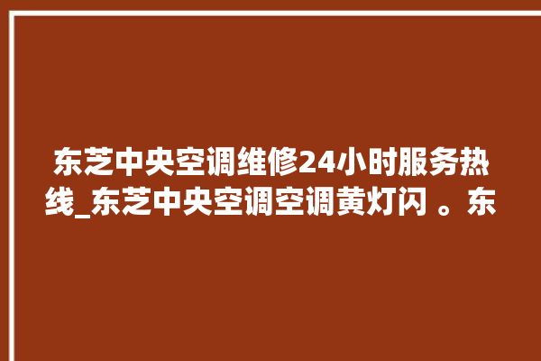 东芝中央空调维修24小时服务热线_东芝中央空调空调黄灯闪 。东芝