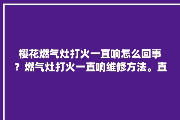 樱花燃气灶打火一直响怎么回事？燃气灶打火一直响维修方法。直响_燃气灶