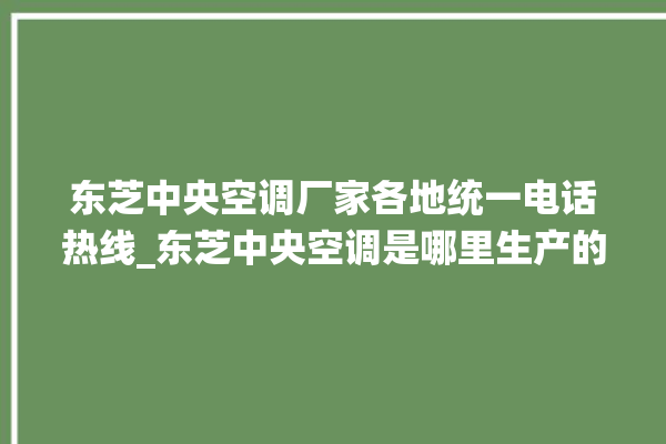 东芝中央空调厂家各地统一电话热线_东芝中央空调是哪里生产的 。东芝