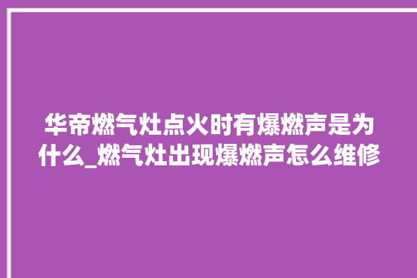 华帝燃气灶点火时有爆燃声是为什么_燃气灶出现爆燃声怎么维修？。燃气灶_华帝