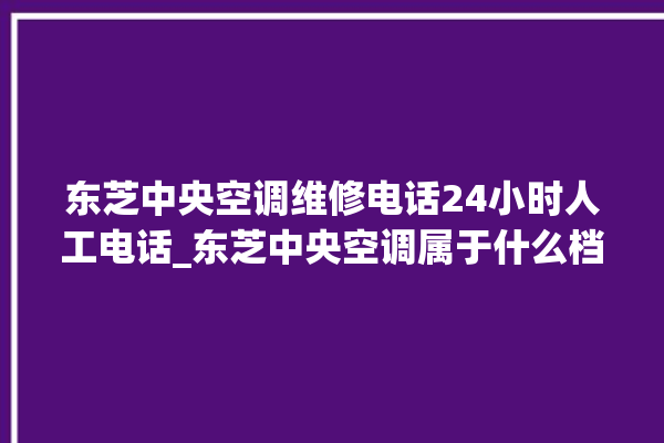 东芝中央空调维修电话24小时人工电话_东芝中央空调属于什么档次 。东芝