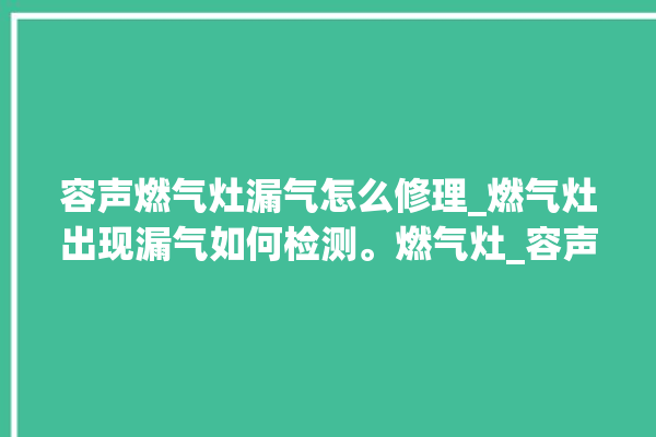 容声燃气灶漏气怎么修理_燃气灶出现漏气如何检测。燃气灶_容声