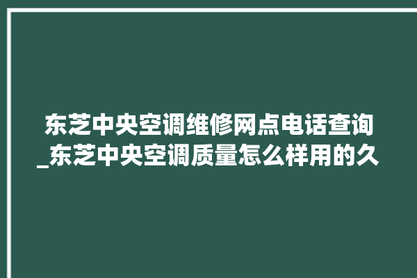 东芝中央空调维修网点电话查询_东芝中央空调质量怎么样用的久吗 。东芝