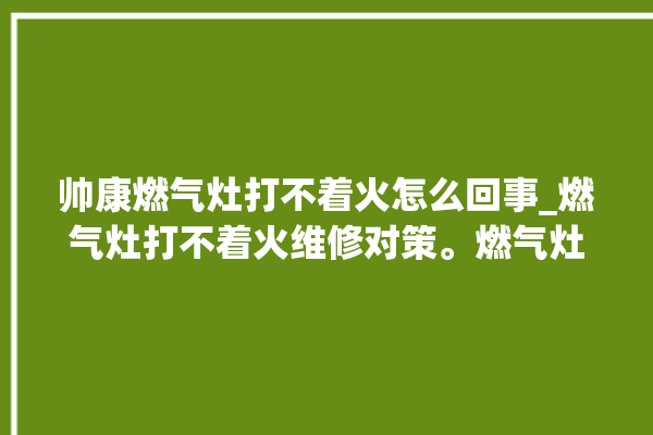 帅康燃气灶打不着火怎么回事_燃气灶打不着火维修对策。燃气灶_怎么回事