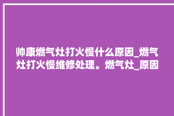 帅康燃气灶打火慢什么原因_燃气灶打火慢维修处理。燃气灶_原因