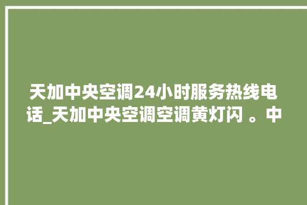 天加中央空调24小时服务热线电话_天加中央空调空调黄灯闪 。中央空调