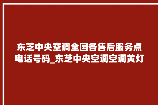 东芝中央空调全国各售后服务点电话号码_东芝中央空调空调黄灯闪 。东芝