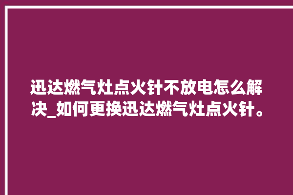 迅达燃气灶点火针不放电怎么解决_如何更换迅达燃气灶点火针。燃气灶_迅达