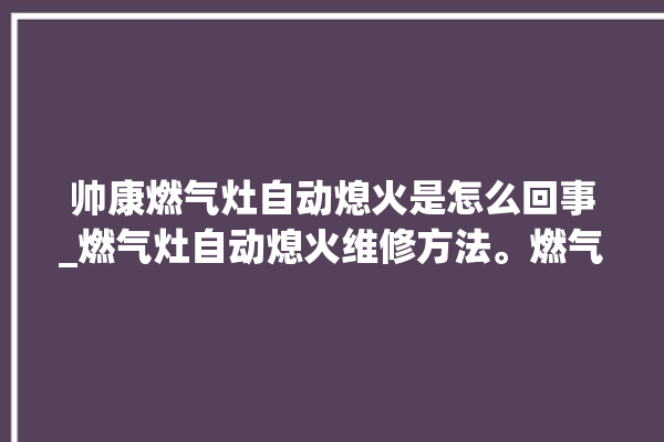 帅康燃气灶自动熄火是怎么回事_燃气灶自动熄火维修方法。燃气灶_方法