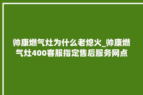 帅康燃气灶为什么老熄火_帅康燃气灶400客服指定售后服务网点。燃气灶_帅康