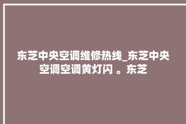 东芝中央空调维修热线_东芝中央空调空调黄灯闪 。东芝