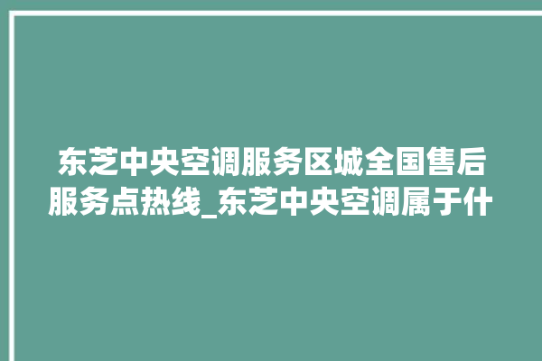 东芝中央空调服务区城全国售后服务点热线_东芝中央空调属于什么档次 。东芝